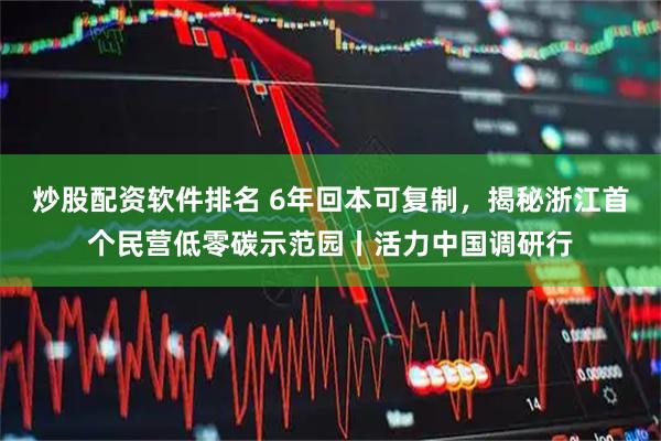 炒股配资软件排名 6年回本可复制，揭秘浙江首个民营低零碳示范园丨活力中国调研行