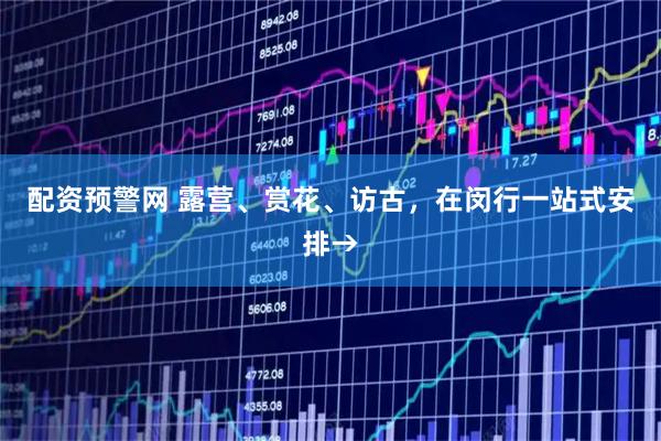 配资预警网 露营、赏花、访古，在闵行一站式安排→